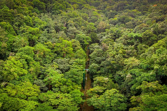St Lucia Ultimate 3: Aerial Tram, Zipline and Hiking at Rainforest Adventures - Refreshments, photos, and the ride back