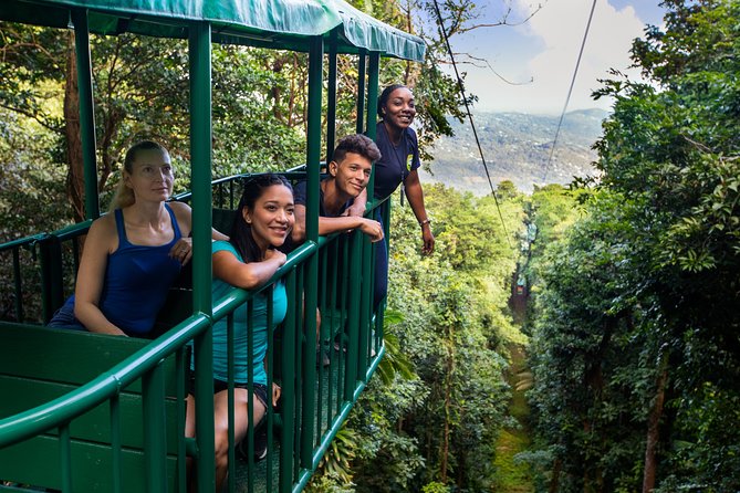 St Lucia Ultimate 3: Aerial Tram, Zipline and Hiking at Rainforest Adventures - Is $115 a fair price?