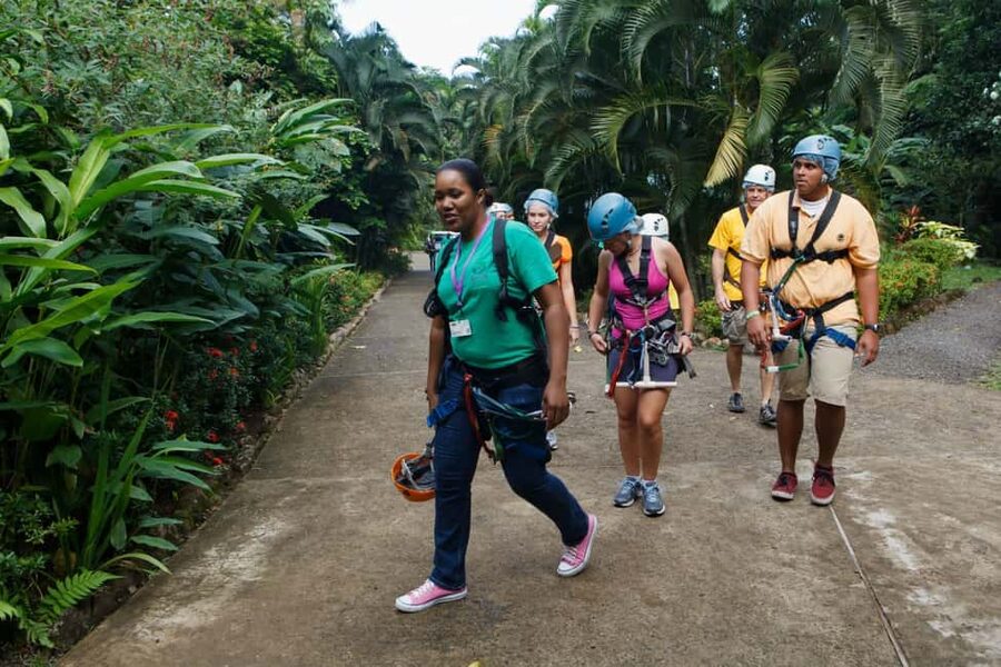 St Lucia Ultimate 3 Package: Aerial Tram Zip Line & Hiking - The aerial tram ride into the trees