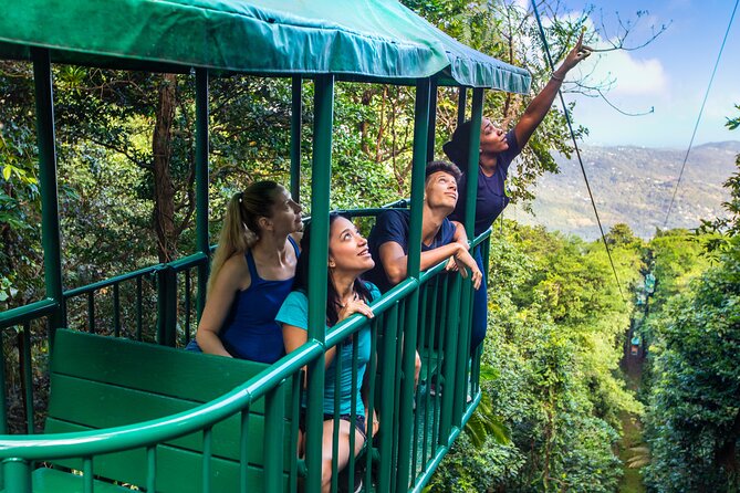 St Lucia Ultimate 3 Package: Aerial Tram, Zipline and Hiking - Reaching the Castries Waterworks Reserve