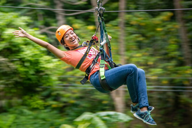 St Lucia Ultimate 3 Package: Aerial Tram, Zipline and Hiking - The trail adds meaning to the forest