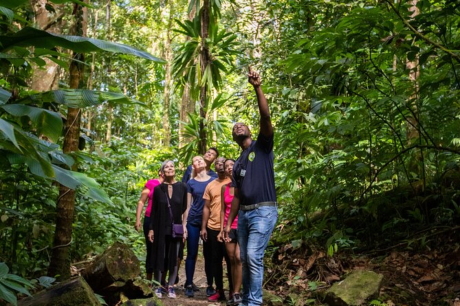 St Lucia Ultimate 3 Package: Aerial Tram, Zipline and Hiking - Cruise passengers need a careful timing plan