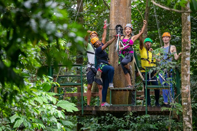St Lucia Ultimate 3 Package: Aerial Tram, Zipline and Hiking - The nine-platform course brings the adrenaline