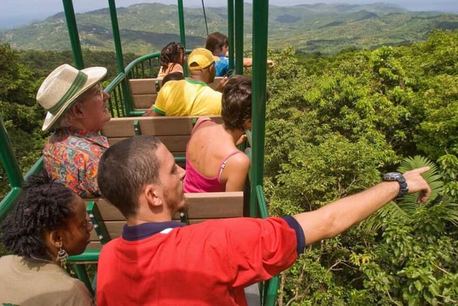 St. Lucia: Zip Line, Aerial Tram, and Hiking Tour - Ten Zip Lines Through the Canopy