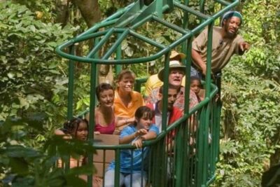 Zip Line, Aerial Tram, and Hiking Tour