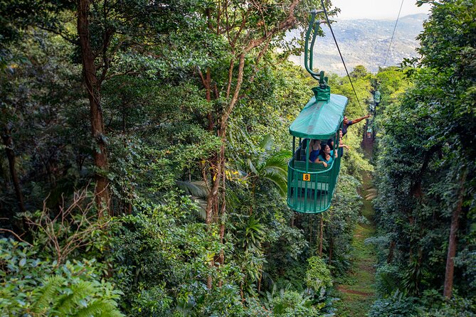 St. Lucia Zip line, Aerial Tram and Hiking tour Ultimate 3 - The best parts at a glance