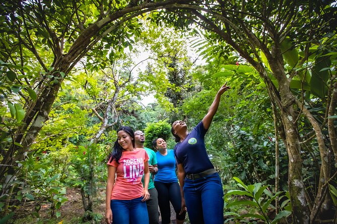 St. Lucia Zip line, Aerial Tram and Hiking tour Ultimate 3 - Is $95 a fair price?