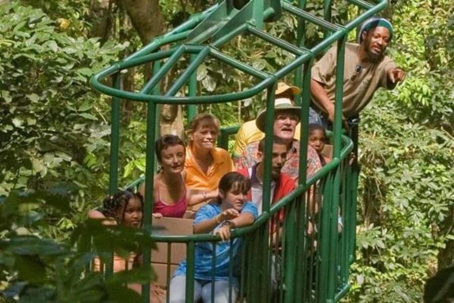 St. Lucia: Zip Line, Aerial Tram, and Hiking Tour - The Aerial Tram: A Quiet Start in the Treetops
