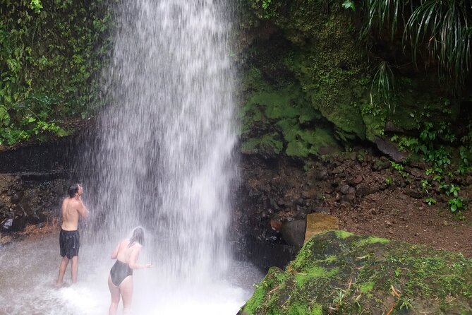 Sulphur Springs Mud Bath and Toraille Waterfall Tour with Creole Lunch - Key points to know before booking