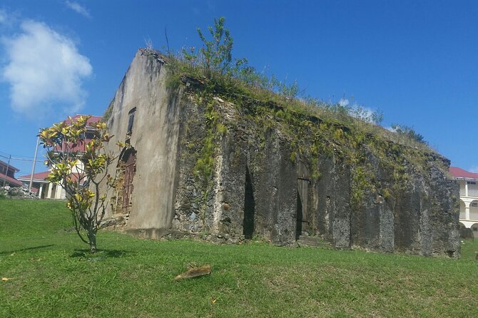 Tet Paul Nature Trail Day Tour - Edmund Forest and the first Piton views