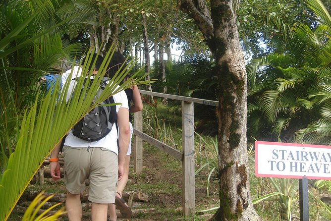 The Best of Saint Lucia Tour - Tet Paul Nature Trail and the Piton view