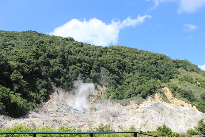 The Best of Saint Lucia Tour - Sulphur Springs and St. Lucia’s volcanic ground