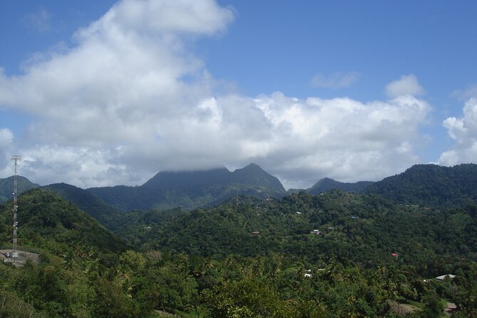 The Best of Saint Lucia Tour - The winding drive through St. Lucia