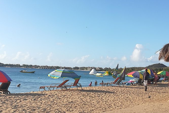 The Ultimate St. Lucian Experience Tour for Cruise ship Passengers - Banana country and the route toward the coast