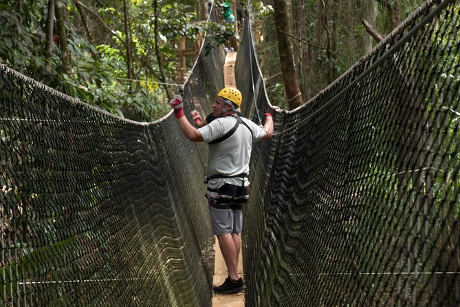 Treetop Adventure Park Canopy Tour - Key Points Before You Book