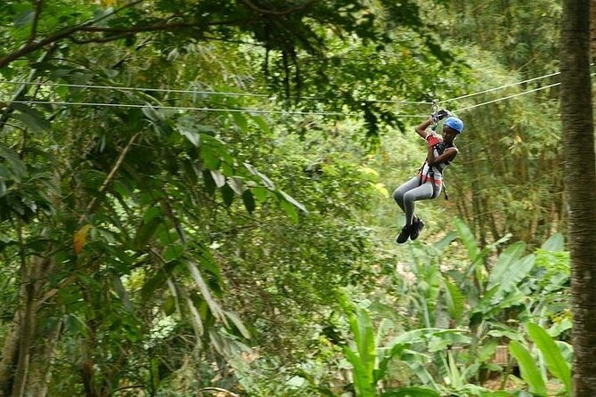 Treetop Adventure Park Canopy Tour - Twelve Runs Through the St. Lucian Rainforest