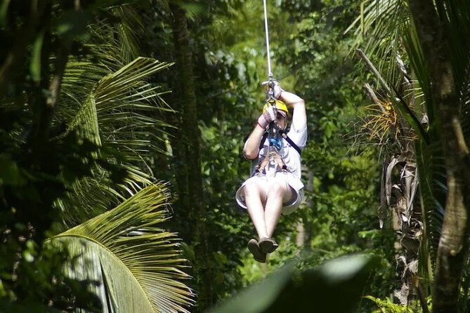 Treetop Adventure Park Canopy Tour - What the Guides Do Well, and Where Service Can Vary