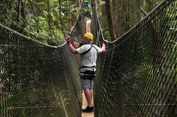 Treetop Adventure Park Canopy Tour - How Much Time Should You Allow?