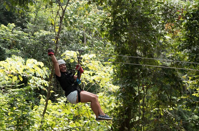 Treetop Canopy Adventure - Eleven ziplines through St. Lucia’s canopy
