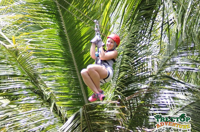 Treetop Canopy Adventure - Views, plants, and a little time to pause