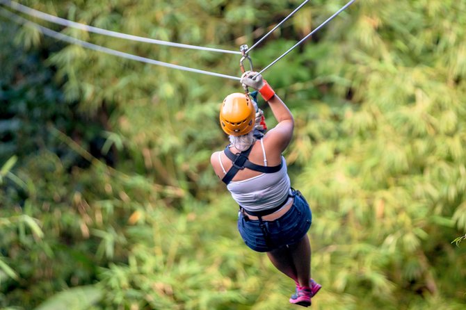 Treetop Zipline Experience From Castries - The Net Bridge Breaks Up the Speed