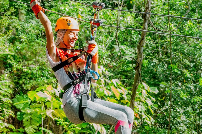 Treetop Zipline Experience From Castries - Views, Plants, and Caribbean Wildlife