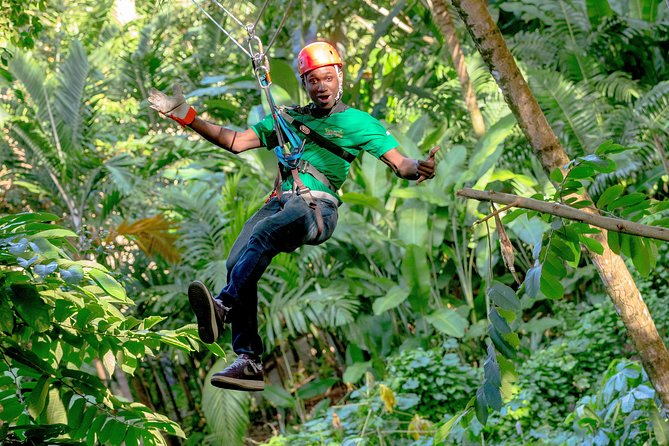 Treetop Zipline Experience From Castries - What to Bring for a Better Ride