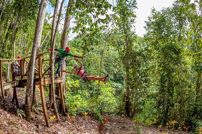 Treetop Zipline Experience From Castries - Twelve Lines Above the Forest Floor