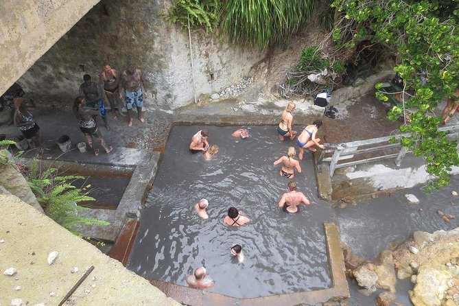 Volcanic Tour and Botanical Gardens - Canaries and the short photo stops