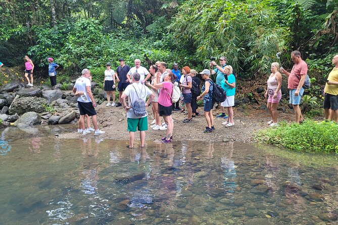Waterfall and Beach Safari in Santa Lucia - The banana valley and the rainforest trail