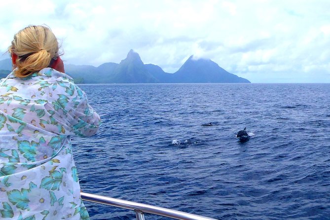 Whale and Dolphin Watching Cruise in St Lucia - Drinks, shade, and the feel of the boat
