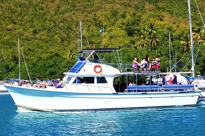 Whale and Dolphin Watching Cruise in St Lucia - The real odds of seeing marine life