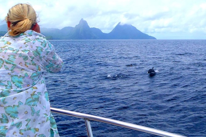 Whale Watching and Dolphin Spotting Cruise - Key points before you book