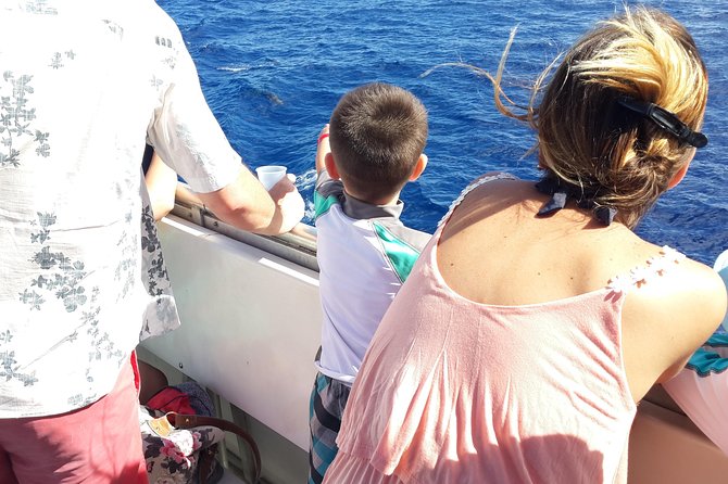 Whale Watching and Dolphin Spotting Cruise - Is the $88 price fair?